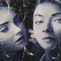 The Moth Diaries
