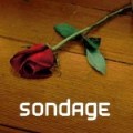 Sondage