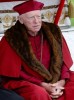 The Tudors Cardinal von Waldburg 